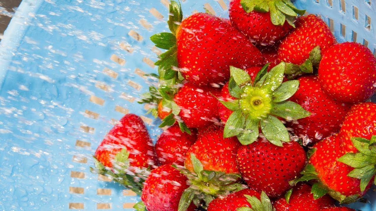 How To Wash Your Berries The RIGHT Way, According To a Produce Pro | Rachael Ray Show