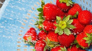 How To Wash Your Berries The RIGHT Way, According To a Produce Pro