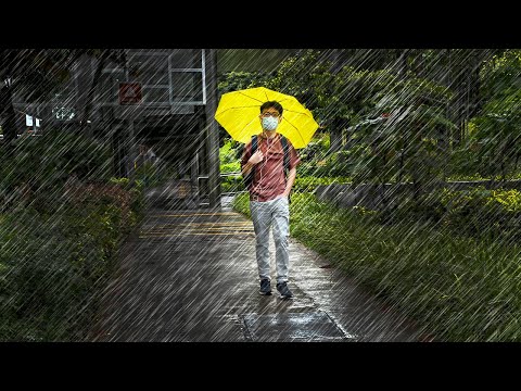 1 Hour Rain Walk in Singapore : Depot Road to Bukit Merah Central in Singapore