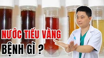 Nước Tiểu Màu Vàng Là Bị Bệnh Gì ? Bác Sĩ Chiều