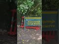 Mini Vlog-lets go for a walk with us🥰Morere Springs Gisborne #minivlog #ashortaday #shorts #short