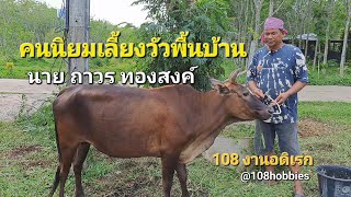 Ep.35 | การเลี้ยงวัวพื้นบ้าน | รายการ มือใหม่อยากเลี้ยงโคกีฬา