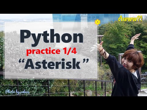 [실습] asterisk in python (container unpack)