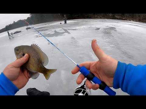 Slaying Bluegills with a 9 Dollar Ice Rod!! (Wisconsin Ice Fishing