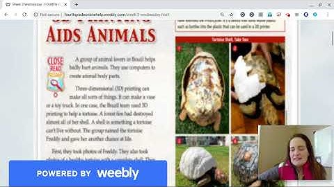Distance Learning Week 3: Reading Comprehension Wednesday