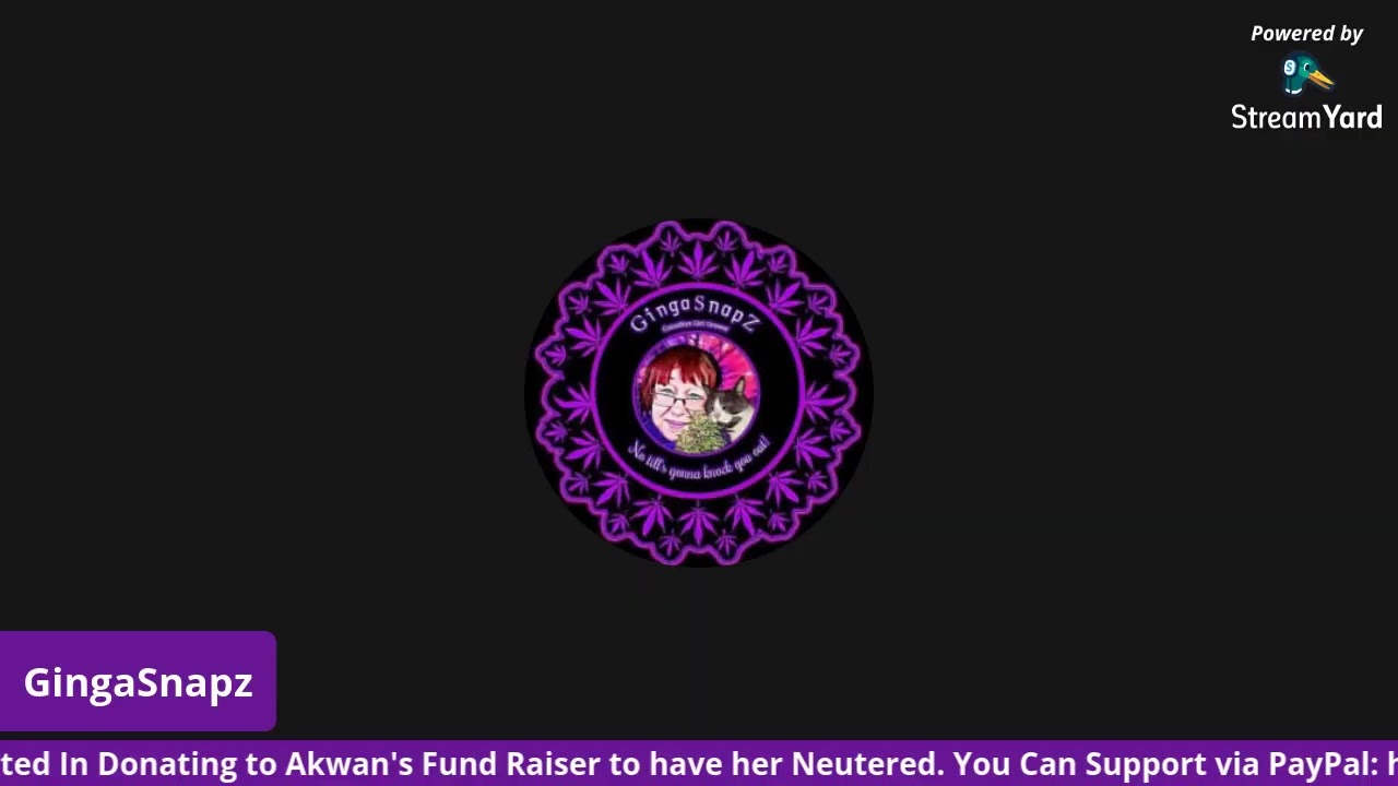 testing new tripod , if successfull, training the girls with GingaSnapz