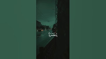 ﴿يَا حَسْرَةً عَلَى الْعِبَادِ ۚ ﴾ القارئ الشيخ ياسر الدوسري | سورة يس