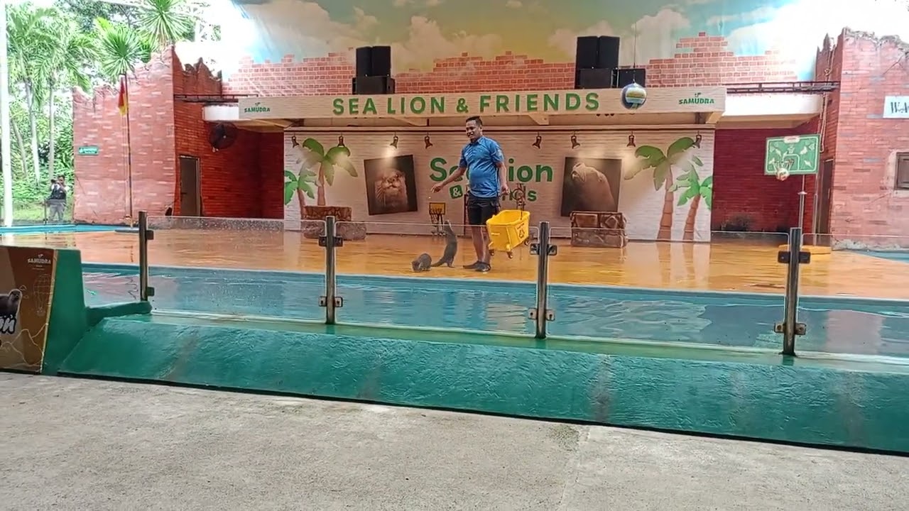 Lihat berang-berang di ancol..!!