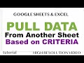 How to Pull Data from Another Sheet based on a Criteria in Excel & Google Sheets?