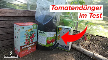 Was ist der beste Tomatendünger?