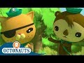 Octonauts - Mysteries of the Jungle | Triple Special | Cartoons for Kids