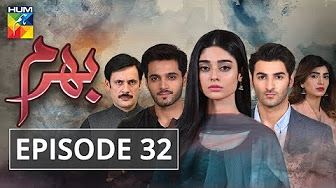HUM TV Dramas latest Episodes - YouTube