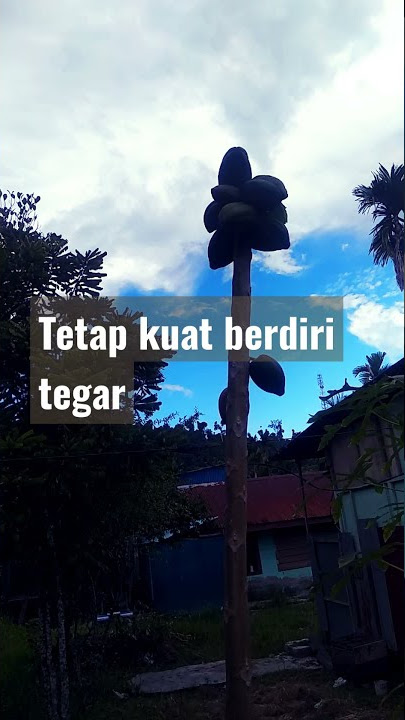 raja ampat indonesia-motivasi hidup#shorts