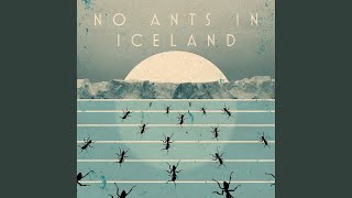 No Ants in Iceland