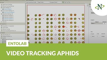 Video tracking of aphids - EntoLab | Noldus