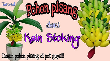 Membuat POHON PISANG dari kain Stoking // make a banana tree from stockings