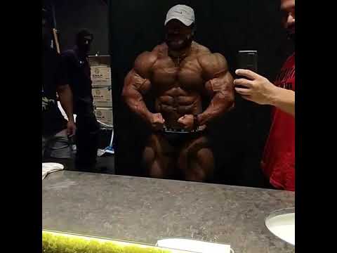 اخر ظهور لرولي ونكلار نشره احمد عسكر