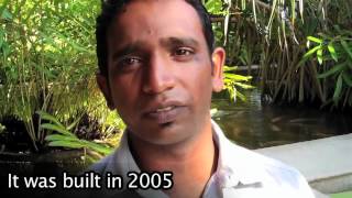 Aditya Resort - Hikkaduwa, Sri Lanka