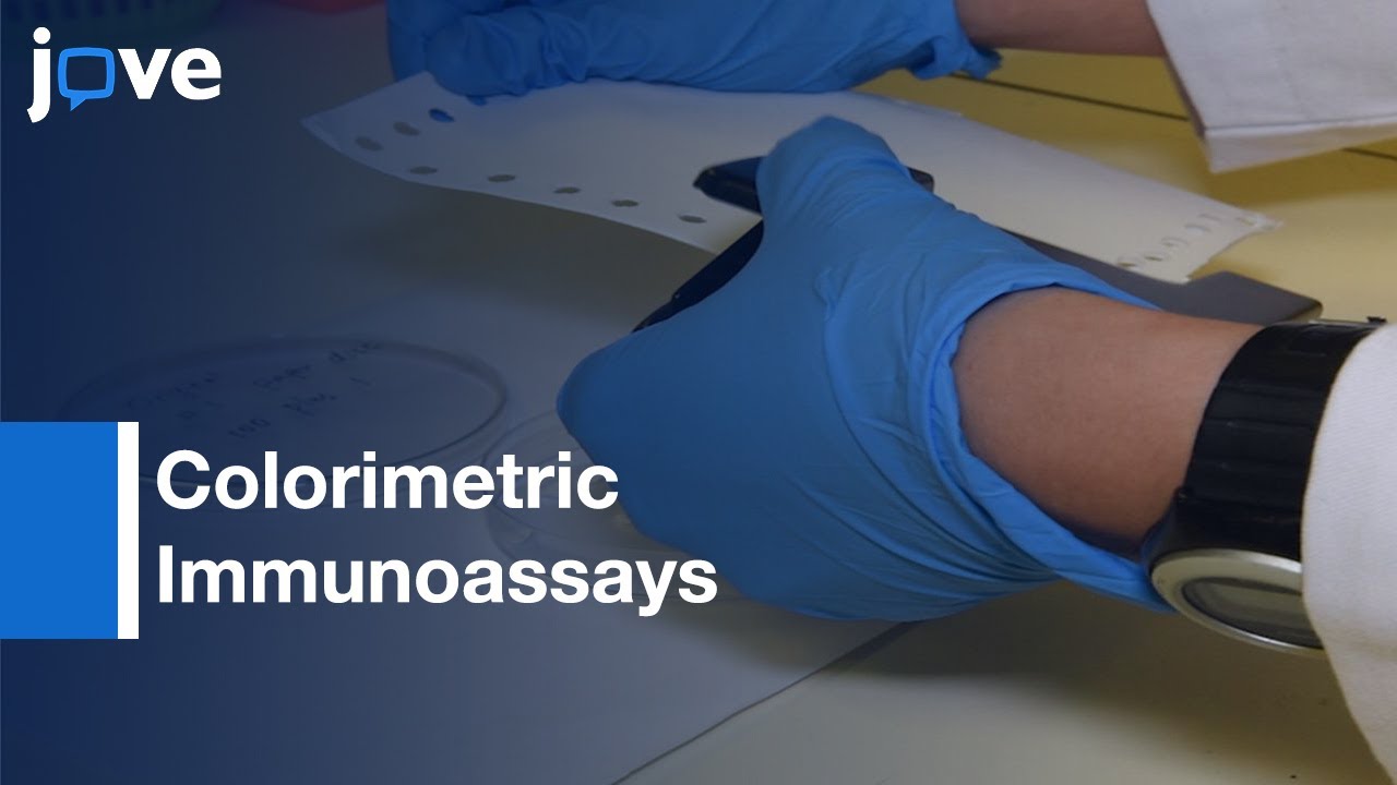 Antibodies Cellulose Paper Application in Colorimetric Immunoassays YouTube