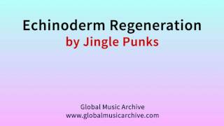 Echinoderm regeneration by Jingle Punks 1 HOUR