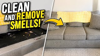 Your Couch Smells Bad? Here's How to Fix It