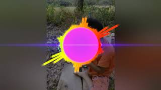 DJ KODOK IJO FULL BASS TERBARU 2019
