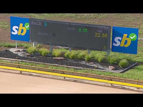 GEL TUE 11 NOV 25 R9