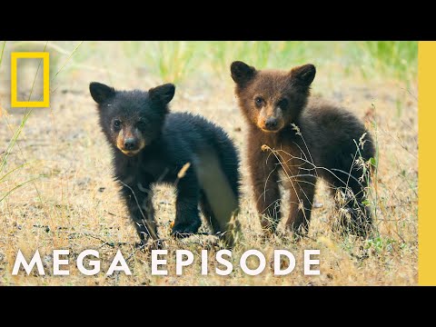 The Wonder of America's National Parks | MEGA EPISODE Season 1 Full Episode
