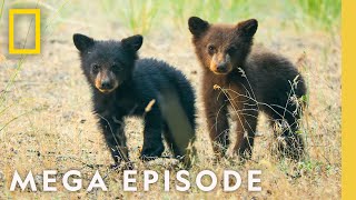 The Wonder of America's National Parks | MEGA EPISODE Season 1 Full Episode screenshot 5