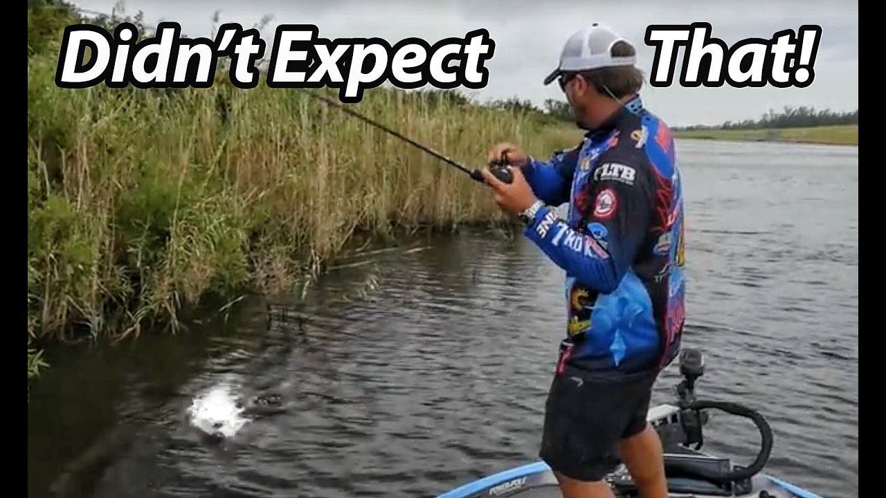 How to Fish a Spinnerbait - Scott Martin - Everything you need to know.