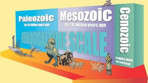 The Geologic Timescale
