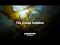 The Ocean Solution | Patagonia Provisions