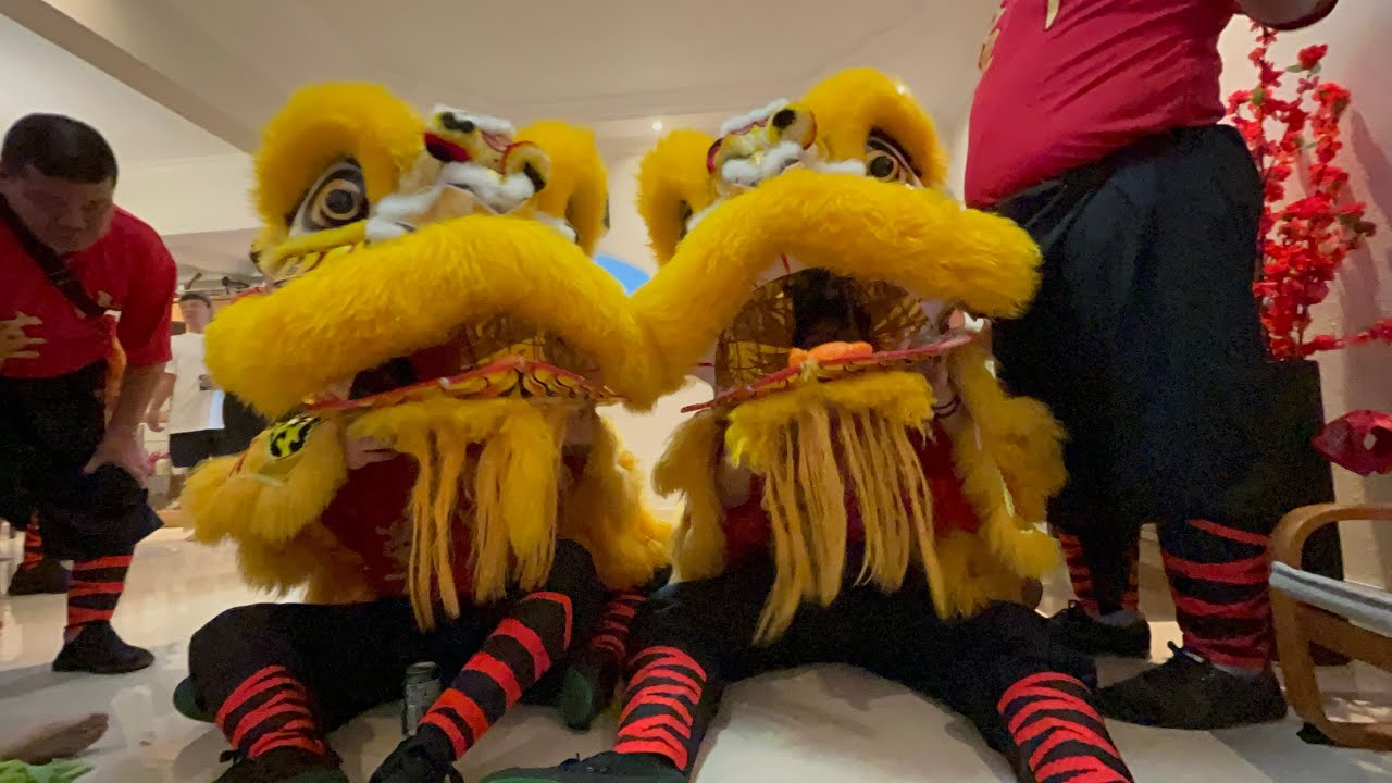 Lion dance