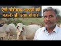 गौसेवा से एक ही परिवार से 20 Govt Employee बने। Best थारपारकर cows! Old breeders of Tharparkar cow