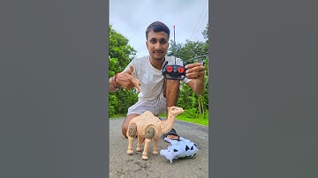 Remote Control Camel 🐫 Unboxing and Testing #shorts #shortsfeed #toys #camel #unboxing #testing