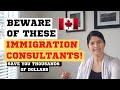 Gambar cover How to Tell if Immigration Consultant is Fake | Becoming Canadian