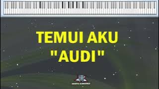 TEMUI AKU || AUDI || KARAOKE  LYRICS