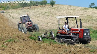 ARATURA 5 TRATTORI 2K20  | FIATAGRI/NEW HOLLAND/CASE-IH/SAME | TEAM D'IGNAZIO E FAMIGLIARI...