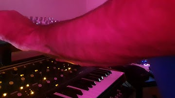 Analogue chill powered by Access virus + Moog Sub37 + Plaits  + Varigate 8 + Morphagene