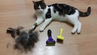 видео Расческа, щетка, пуходерка для кошек: что и как выбрать