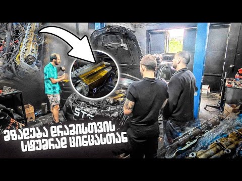 სადაა დრაგი და კაი ცხოვრება