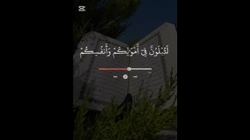 #تلاوات_خاشعة #المصحف #سورة