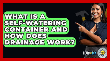 What Is A Self-watering Container And How Does Drainage Work? - LearnToDIY360.com