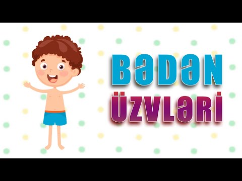 BƏDƏN ÜZVLƏRİ İLƏ TANIŞLIQ! (Azərbaycan dilində cizgi filmi)