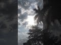 #garden good vibes. thank you for everything