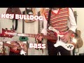 Hey Bulldog | Bass Cover | Isolated Rickenbacker