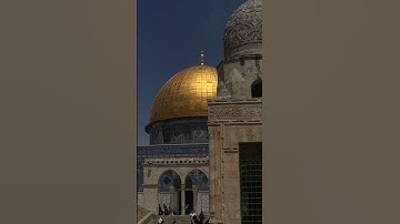 تلاوة هادئة ❤🌱 #الصلاه #freepalestin #القرآن_الكريم #غزة #القدس #freepalestine #quran #الله #صلاة ♥🌿