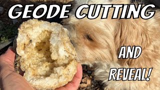 Geode Cutting LIVE with The Crystal Collector