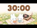 Chill in the Park 🎵 30 minute timer with music for classroom