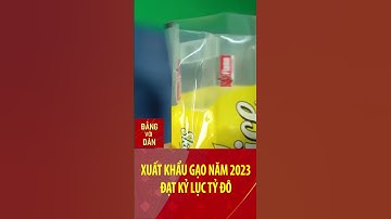 Xuất khẩu gạo năm 2023 đạt kỷ lục tỷ đô | Đảng với Dân